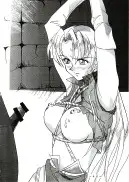 アトランティス陰史 魔導大陸淫辱画集 1＋2パック 64ページ