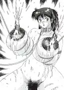 官能写真集アニメキャラ編パック 22ページ