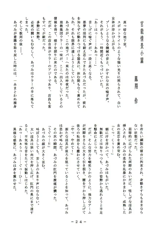 官能写真集アニメキャラ編パック 52ページ