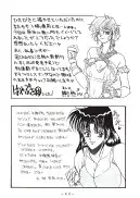 官能写真集アニメキャラ編パック 94ページ