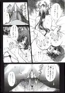 麗姫無双1＋2 25ページ