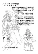魔導の王国・淫辱の罠に堕ちる美姫 SIDE:A 14ページ
