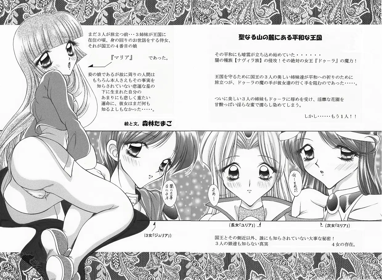 魔導の王国・淫辱の罠に堕ちる美姫 SIDE:B 26ページ