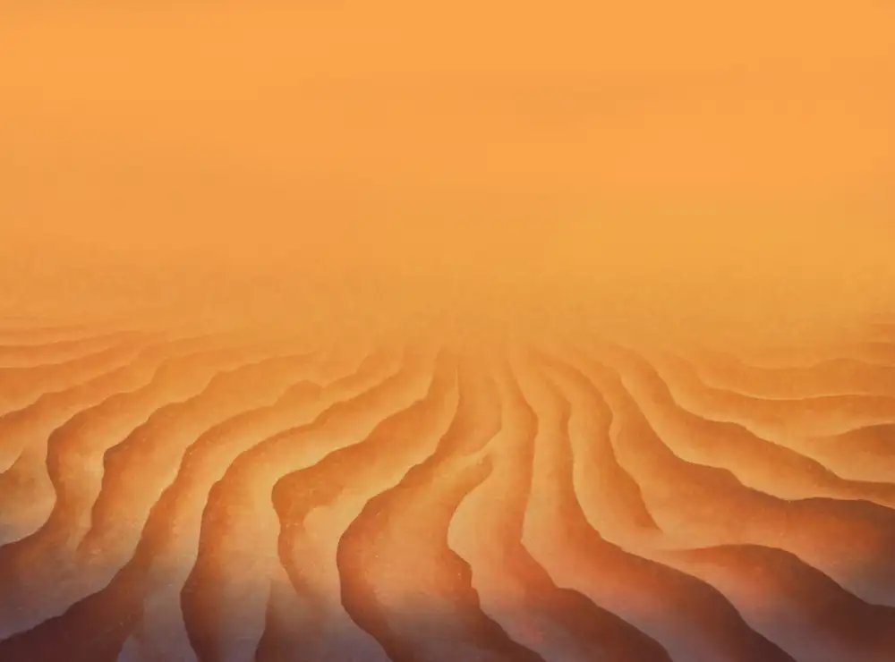 脱巣姫 17ページ