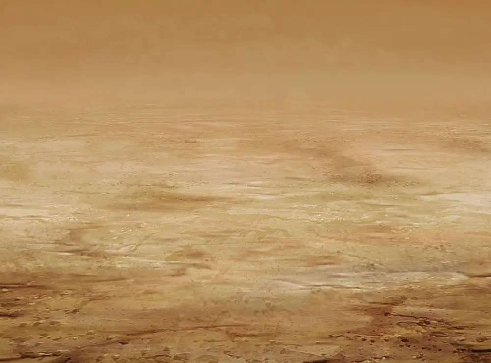 脱巣姫 18ページ