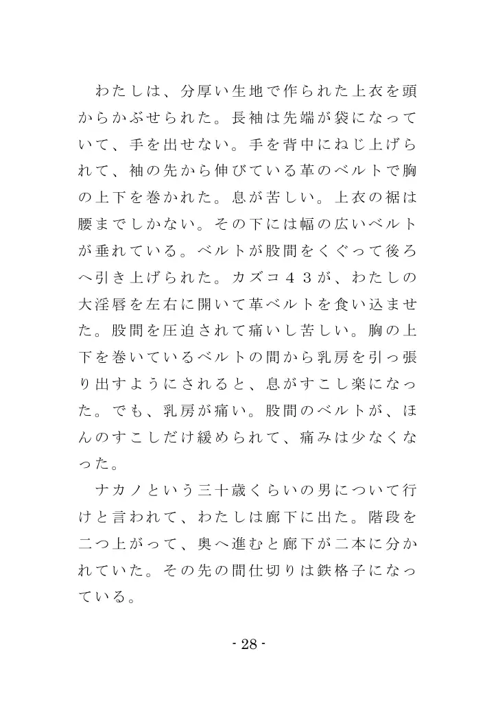 強●入院マゾ馴致（前編）〜絶海の孤島で繰り広げられる集団調教劇 28ページ