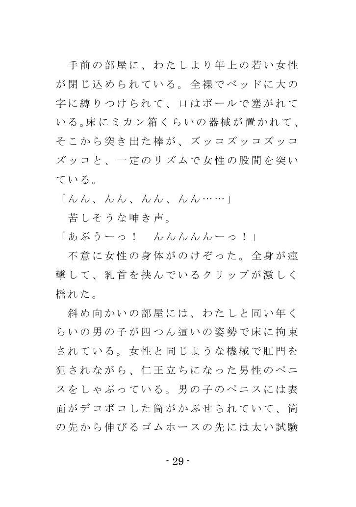 強●入院マゾ馴致（前編）〜絶海の孤島で繰り広げられる集団調教劇 29ページ
