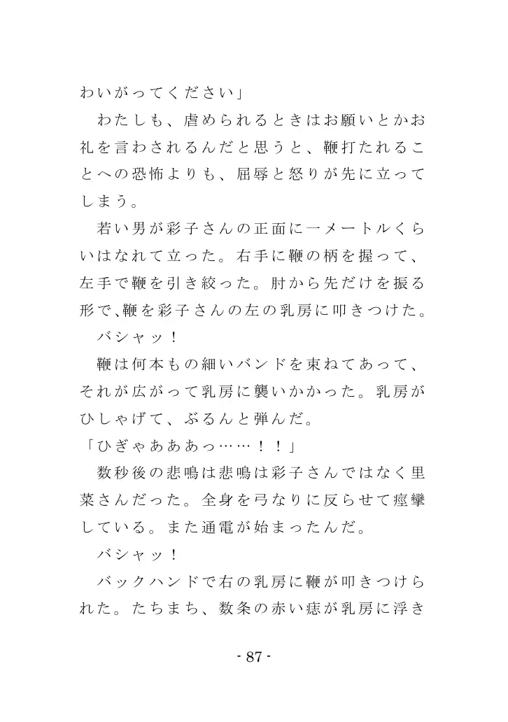 強●入院マゾ馴致（前編）〜絶海の孤島で繰り広げられる集団調教劇 87ページ