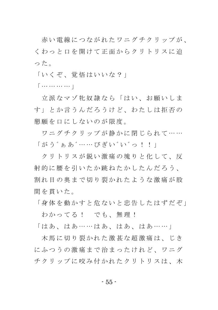 強●入院マゾ馴致（後編）〜絶海の孤島で繰り広げられる集団調教劇 55ページ