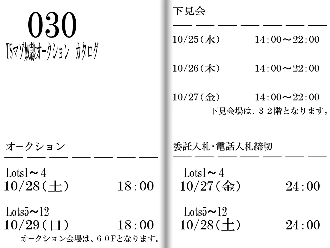TSマゾ奴●オークション カタログ 3ページ