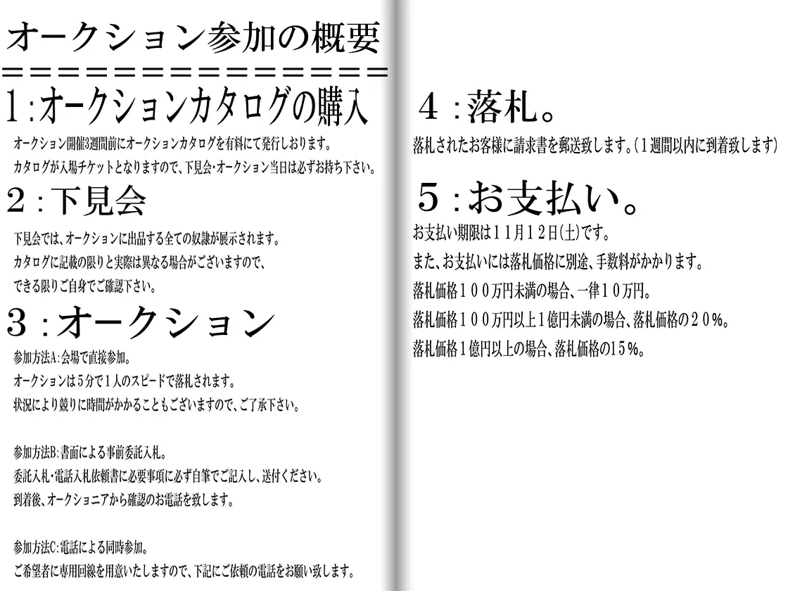 TSマゾ奴●オークション カタログ 4ページ
