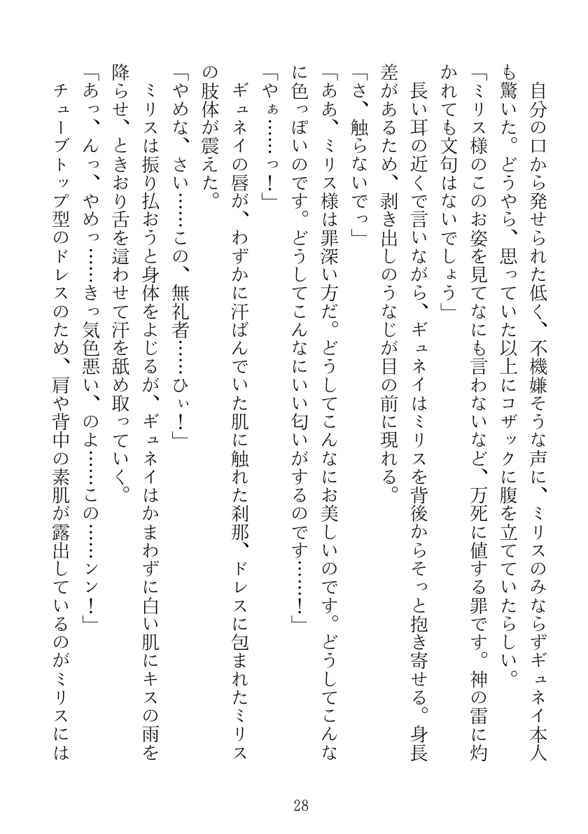 マリナ＆ミリス 陥落のエルフ王女姉妹 28ページ