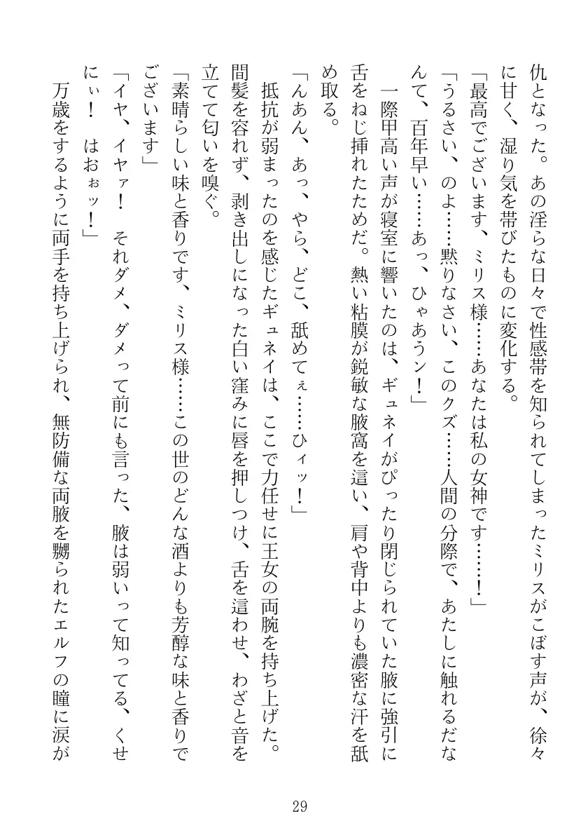 マリナ＆ミリス 陥落のエルフ王女姉妹 29ページ