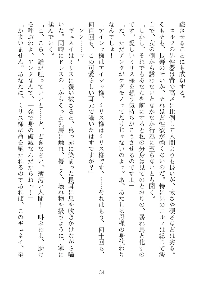 マリナ＆ミリス 陥落のエルフ王女姉妹 34ページ