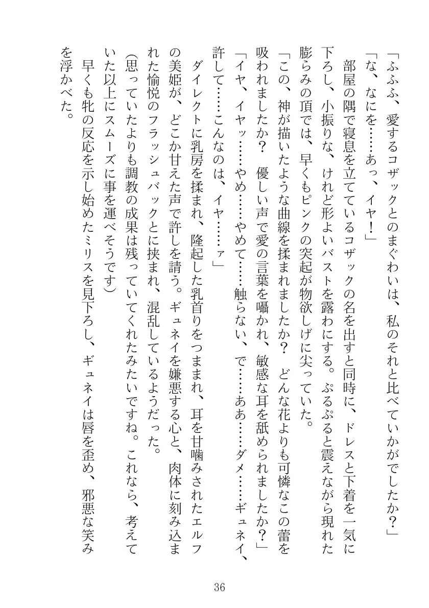 マリナ＆ミリス 陥落のエルフ王女姉妹 36ページ