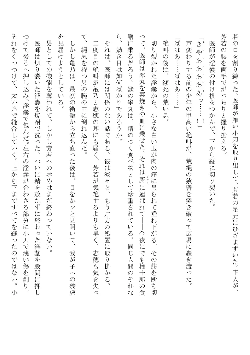 裸囚姫牢虐譚 30ページ