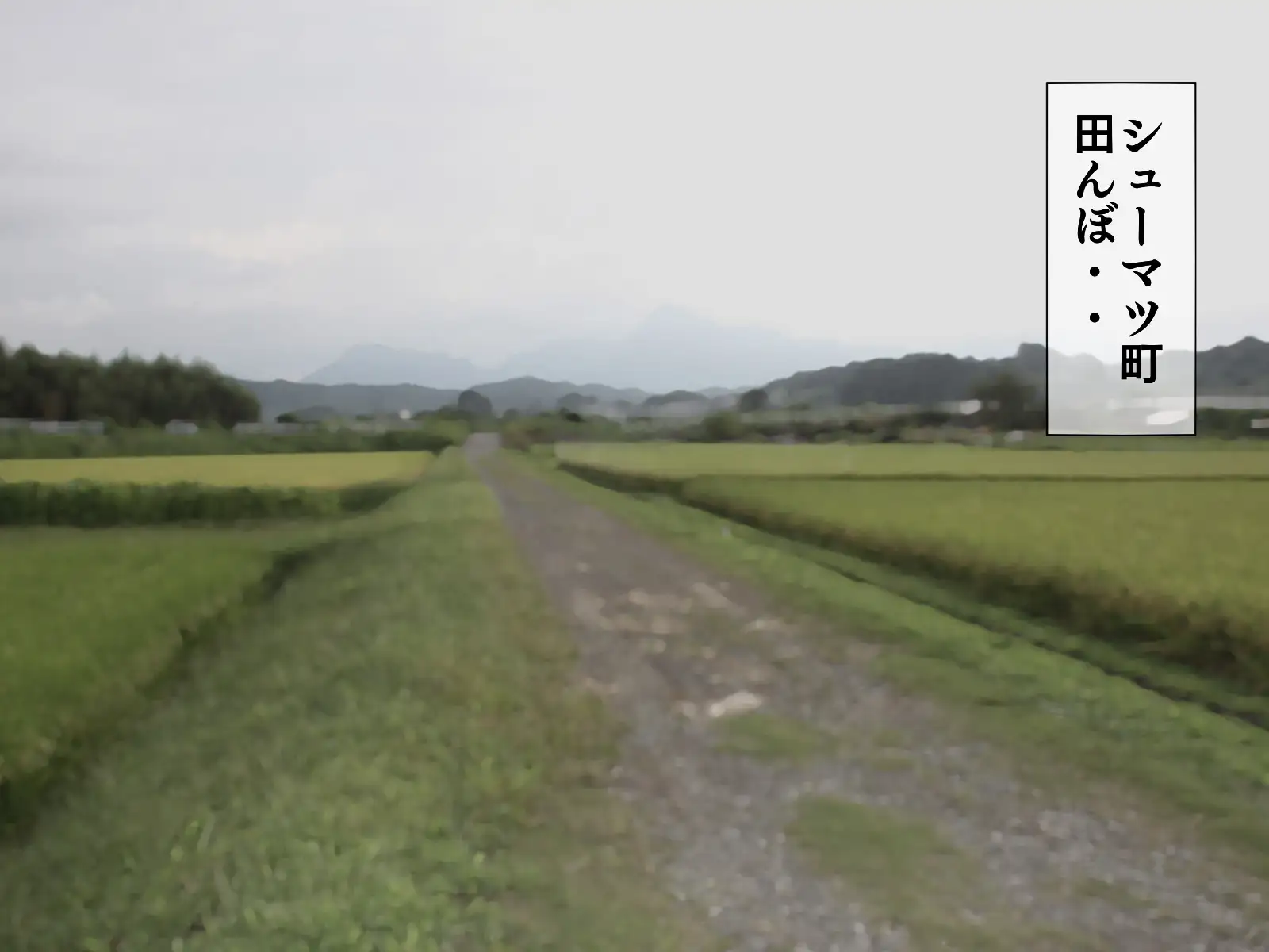 搾精学級 8〜性格最悪の女子しかいない学校で性的イジメ生活〜 4ページ