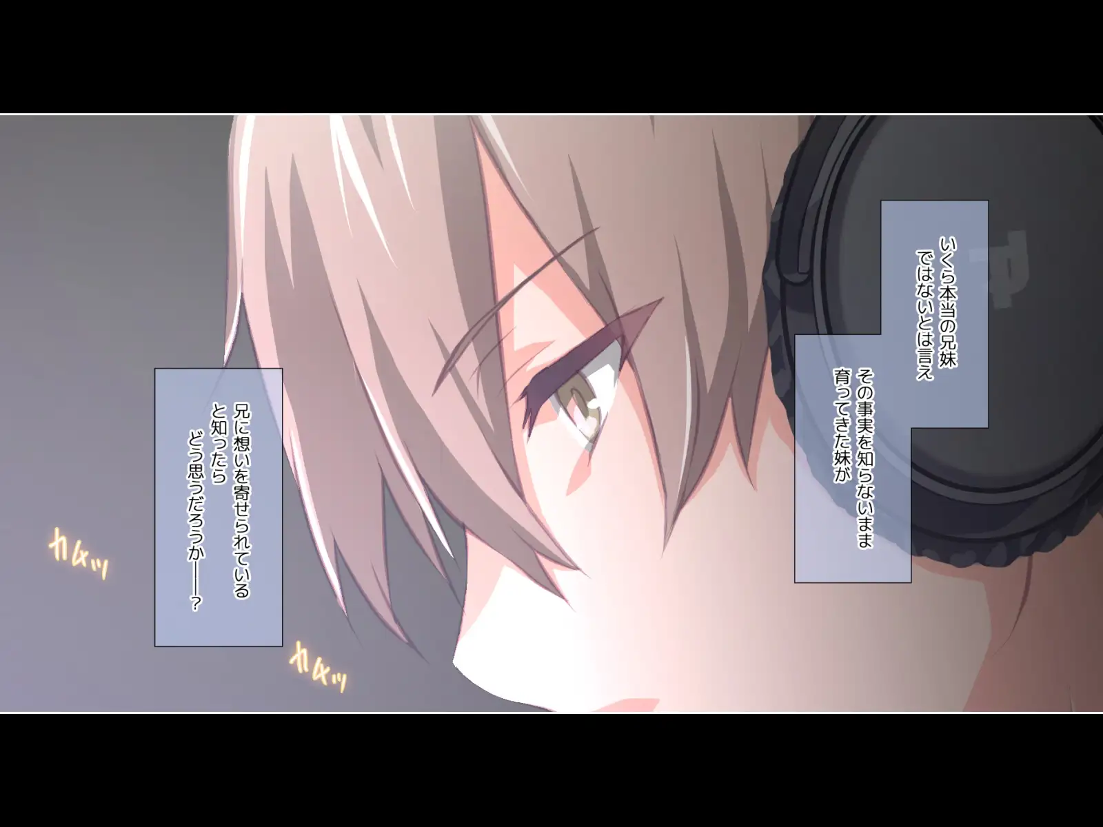 ド変態から従順まで！TJ_studioまとめ買いセット 351ページ