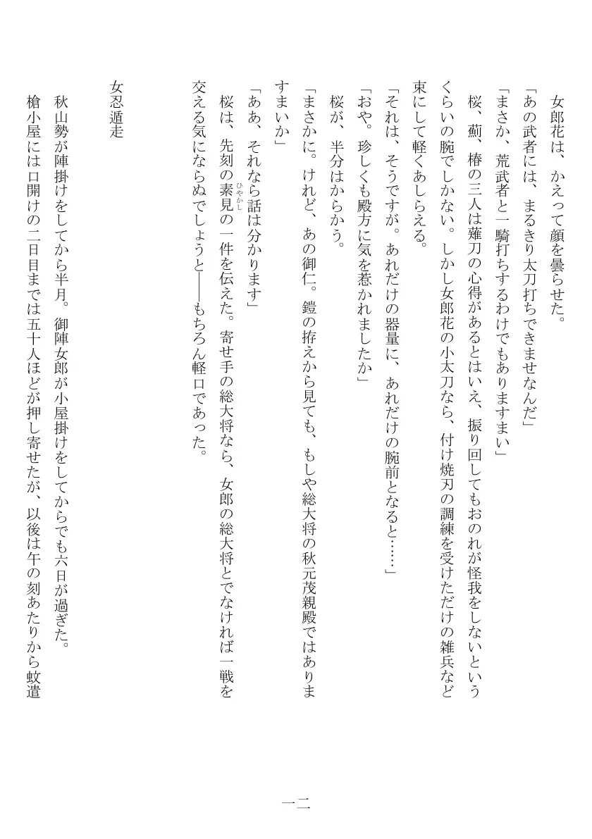 売姫三日晒し 13ページ