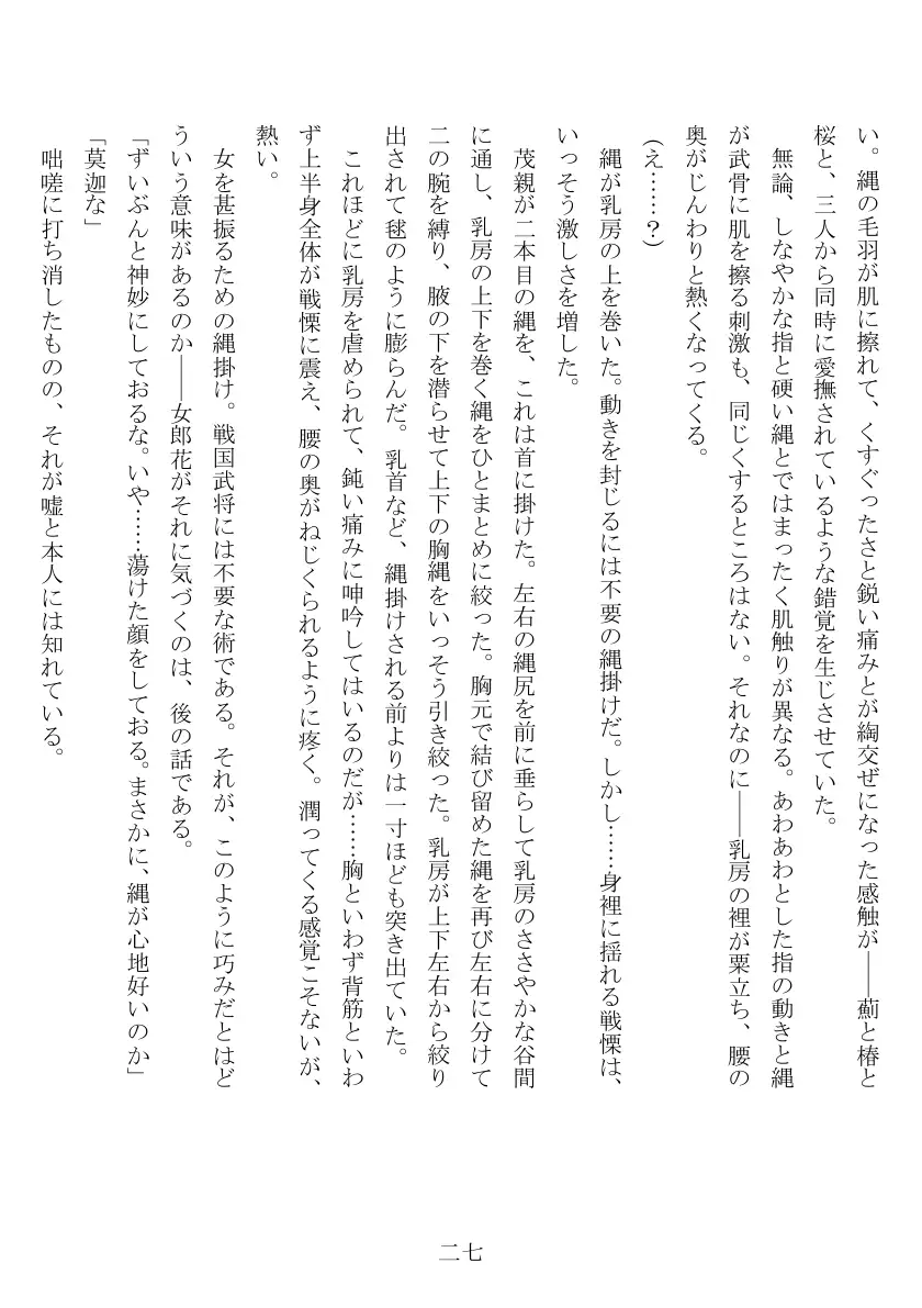 売姫三日晒し 28ページ