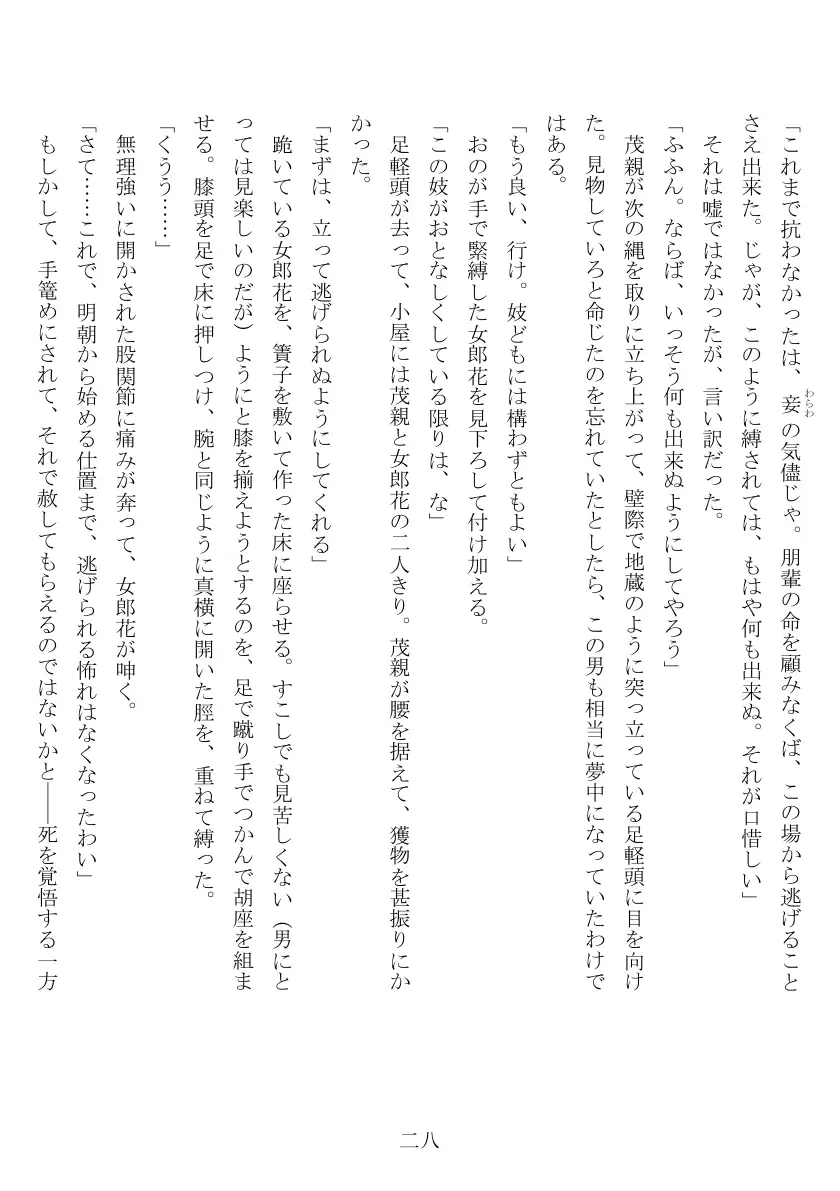 売姫三日晒し 29ページ