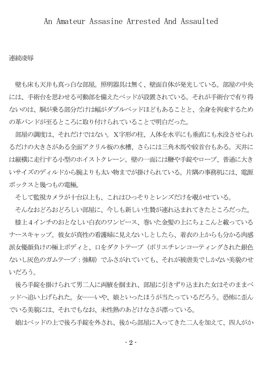 An Amateur Assasine Arrested And Assaulted 3ページ