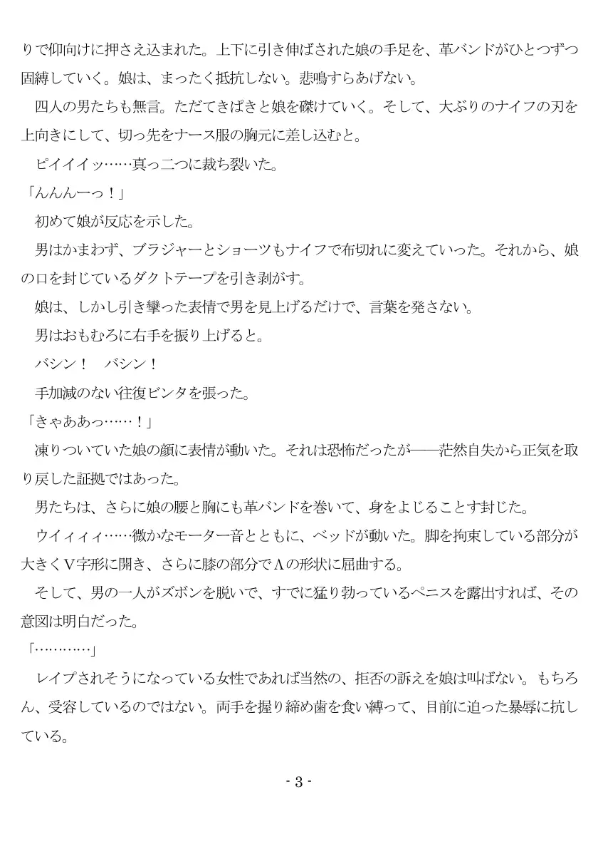 An Amateur Assasine Arrested And Assaulted 4ページ