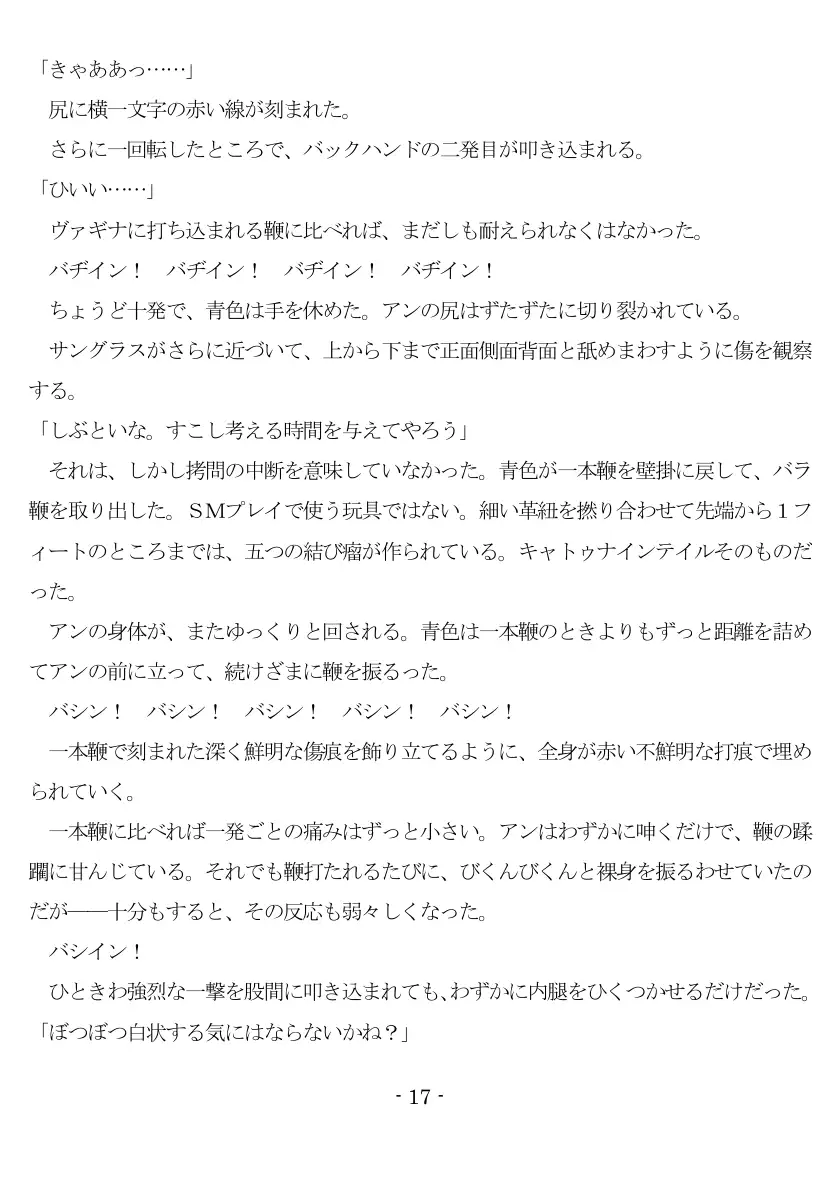 An Amateur Assasine Arrested And Assaulted 18ページ