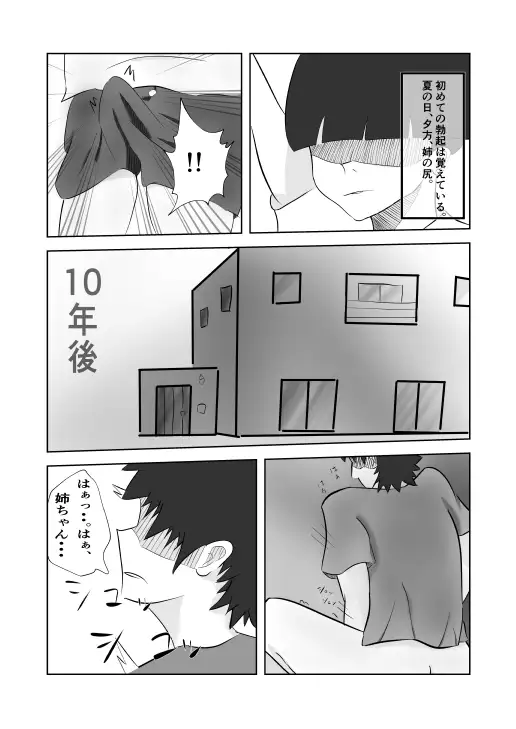 姉ちゃんはAV 女優 2ページ