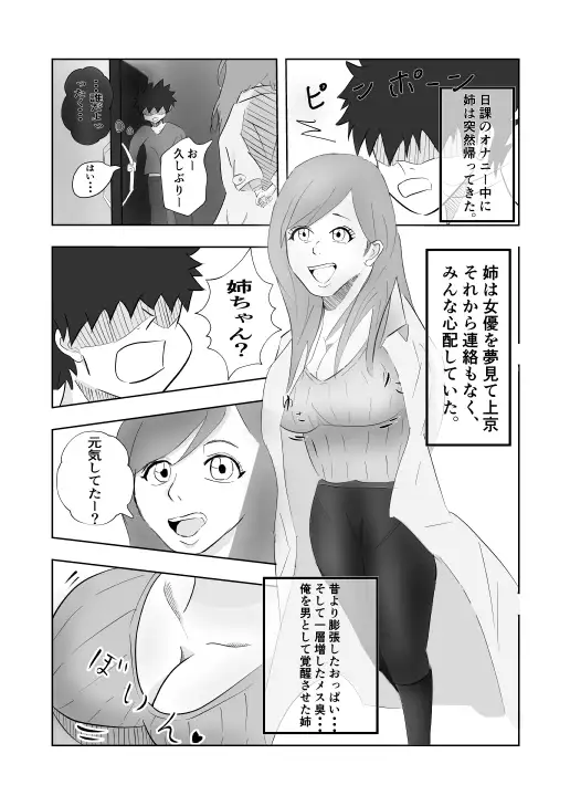 姉ちゃんはAV 女優 3ページ