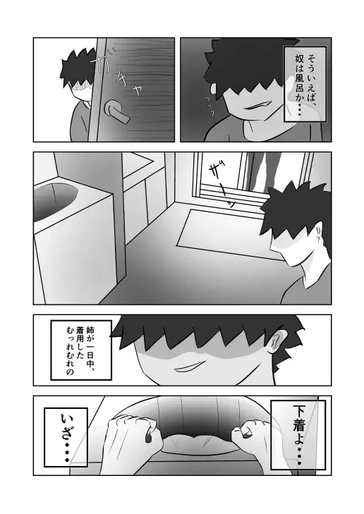 姉ちゃんはAV 女優 9ページ