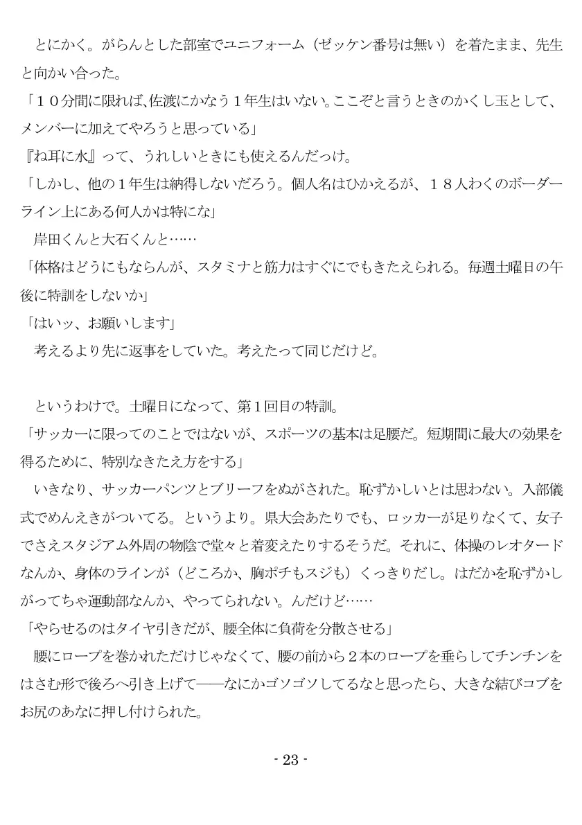 女神様と王女様といとこの（下）僕 24ページ