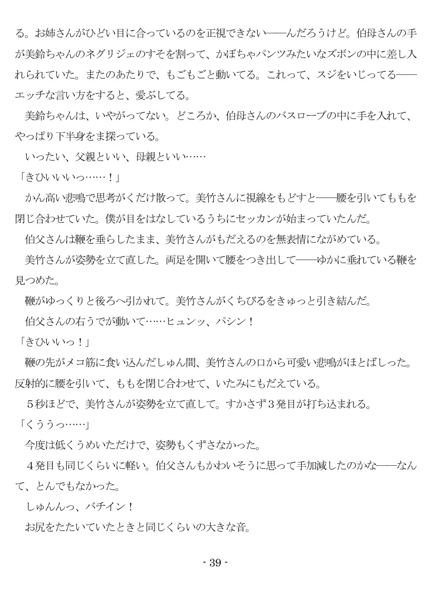 女神様と王女様といとこの（下）僕 40ページ