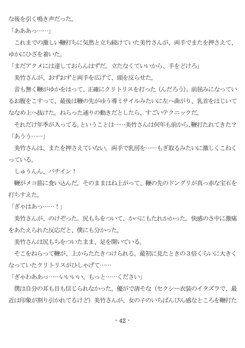 女神様と王女様といとこの（下）僕 43ページ