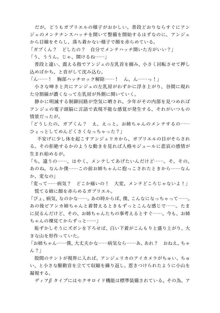 最果て星の機械姉 13ページ