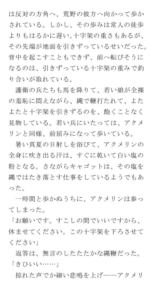 生贄王女と簒奪侍女（後編） 35ページ