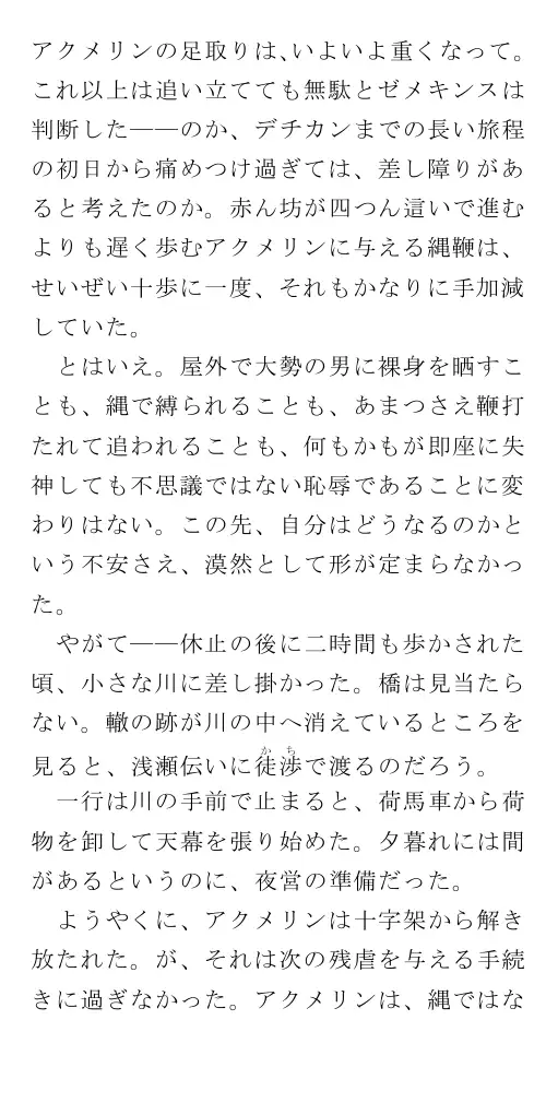 生贄王女と簒奪侍女（後編） 40ページ