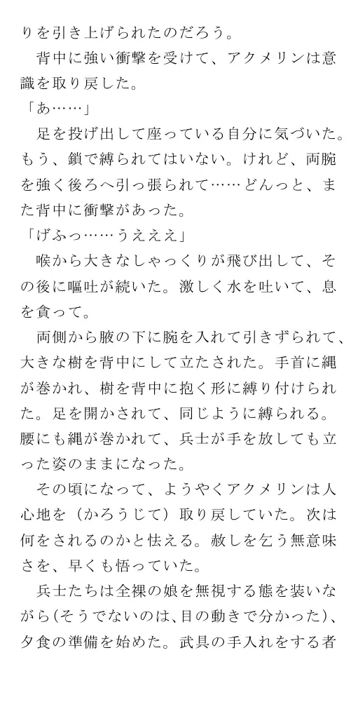 生贄王女と簒奪侍女（後編） 45ページ