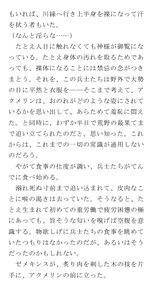 生贄王女と簒奪侍女（後編） 46ページ