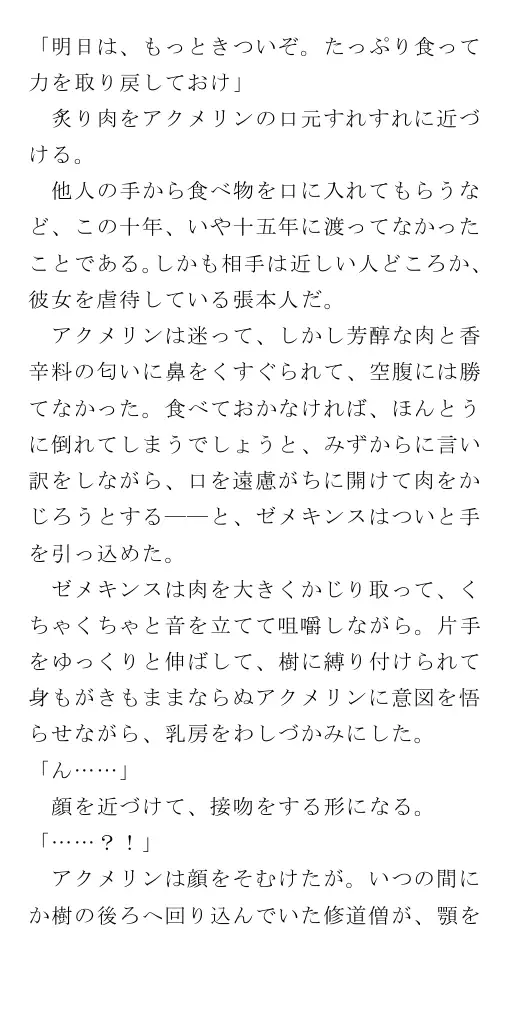 生贄王女と簒奪侍女（後編） 47ページ