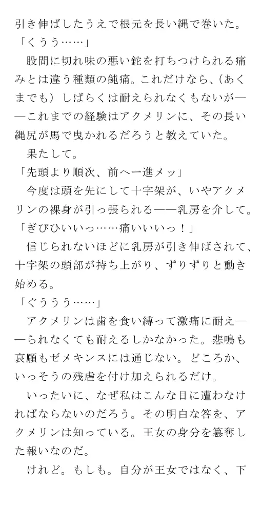生贄王女と簒奪侍女（後編） 60ページ