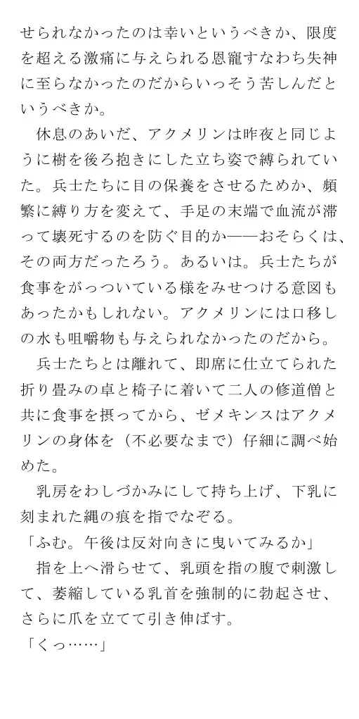 生贄王女と簒奪侍女（後編） 62ページ