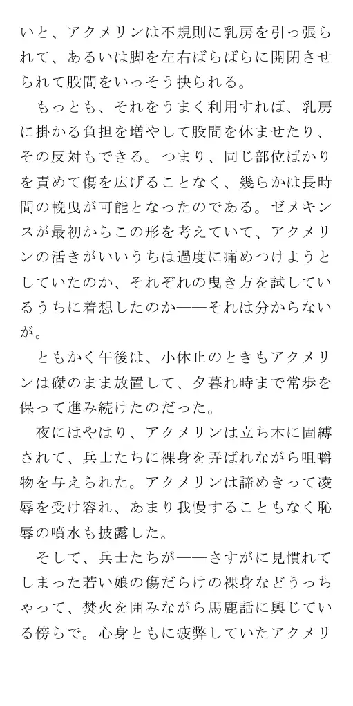生贄王女と簒奪侍女（後編） 67ページ