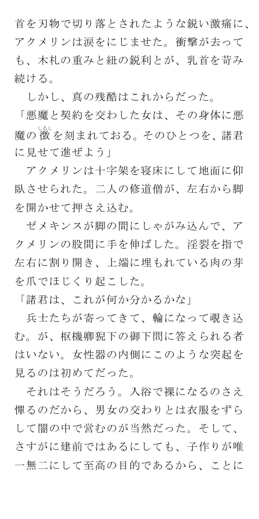 生贄王女と簒奪侍女（後編） 70ページ