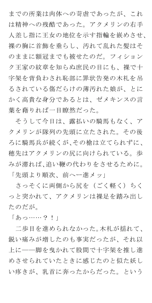 生贄王女と簒奪侍女（後編） 73ページ