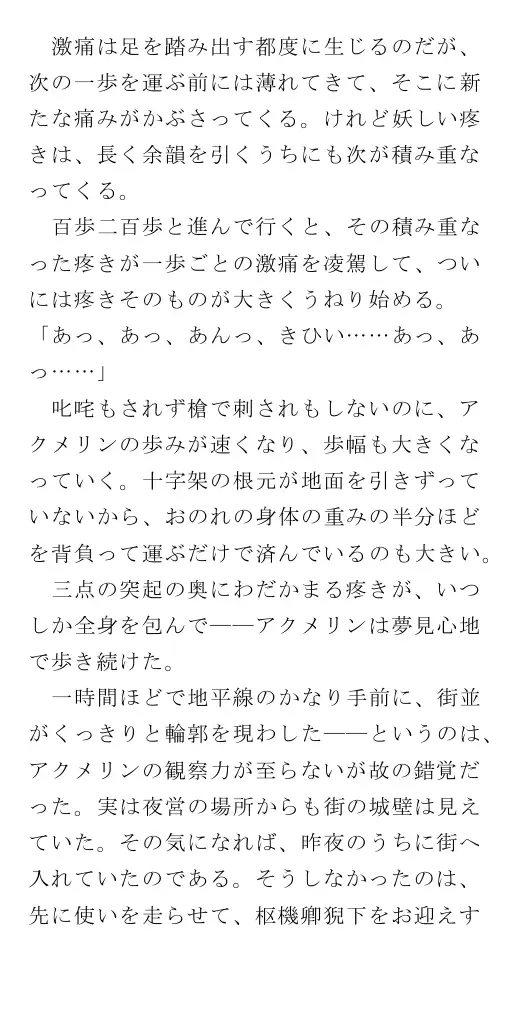 生贄王女と簒奪侍女（後編） 75ページ