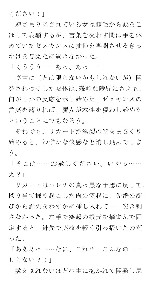 生贄王女と簒奪侍女（後編） 101ページ