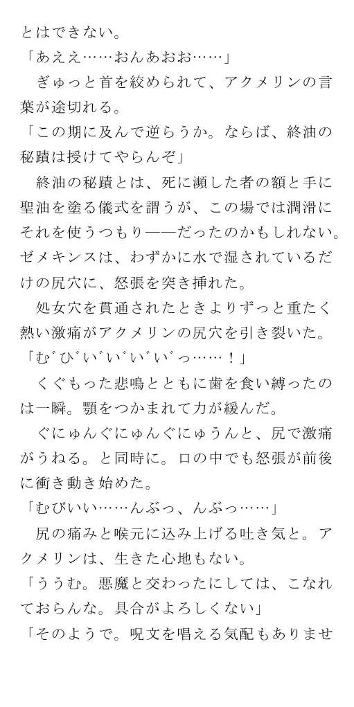 生贄王女と簒奪侍女（後編） 141ページ