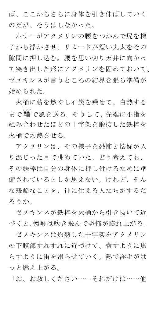 生贄王女と簒奪侍女（後編） 144ページ