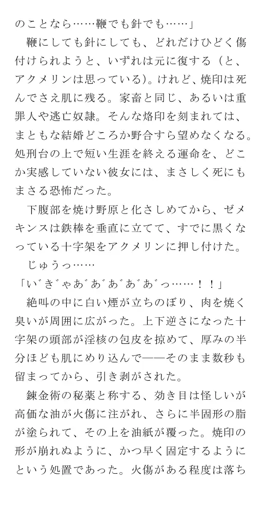 生贄王女と簒奪侍女（後編） 145ページ